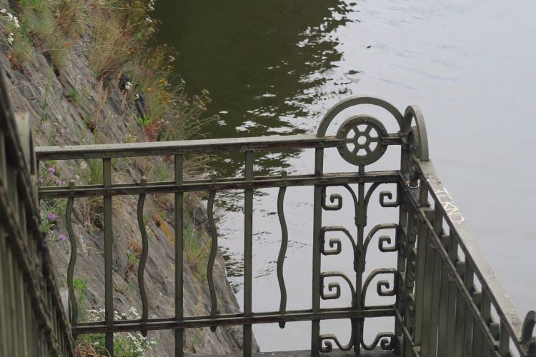 cyklista_03_vysehradska_kvetena